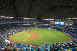 开云体育娱乐app安全-世界击剑锦标赛中国女花首次进四强，击剑世界冠军女