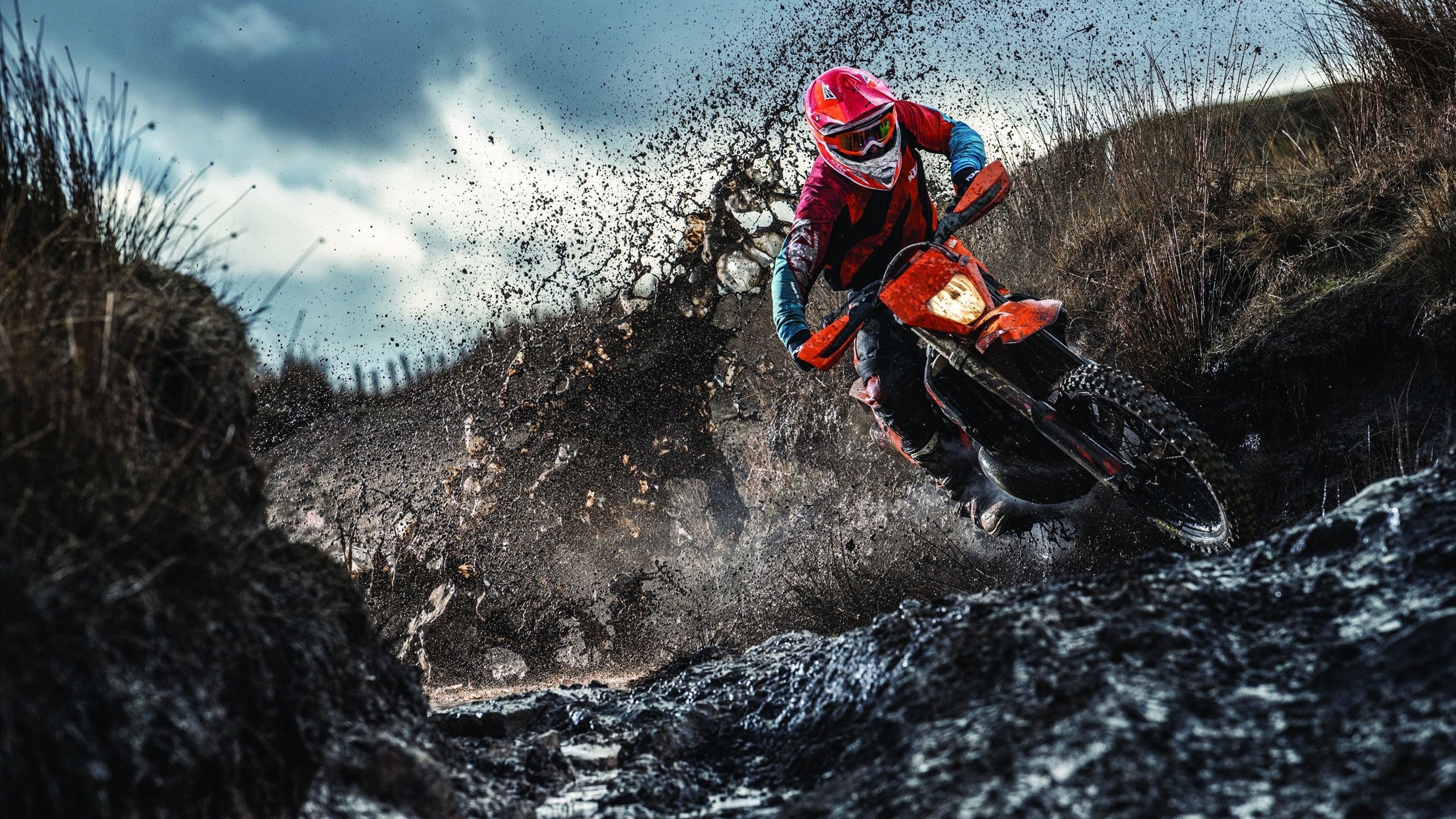 _掘金稳步前行,攻击防守俱佳_,掘金队最新消息